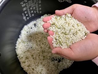 하나로라이스 바로짓는 혼합백미 여주쌀 2kg 3종 택1 — 5점을 준 리뷰어가 2022년 4월 올린 사용 사진