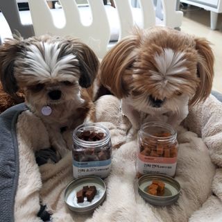 페페로니 진짜 오메가3 연어+소고기 180g+180g — 5점을 준 리뷰어가 2021년 7월 올린 사용 사진