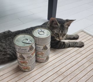 파비올라님이 올린 리뷰 사진 3