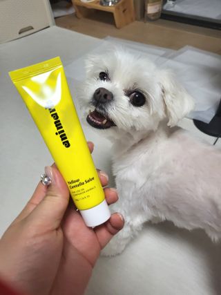 뽀오오옹님이 올린 리뷰 사진 1