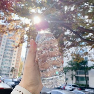 봄봄님이 올린 리뷰 사진 4