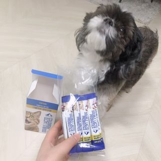 씨디랩 장 건강과 구강 건강을 한 번에 더블락토 강아지 고양이 유산균 — 5점을 준 리뷰어가 2021년 1월 올린 사용 사진