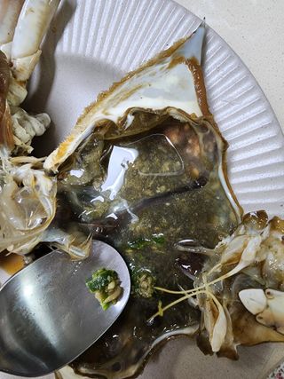 셰프애찬 수제 청양 맵짤이 400g — 5점을 준 리뷰어가 2022년 9월 올린 사용 사진