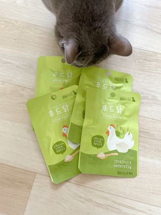 도그퓨어 푸드닭 강아지 닭고기 통살 애견간식 오리지널/차전자피/초록입홍합 — 5점을 준 리뷰어가 2021년 10월 올린 사용 사진