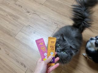페페로니 맛있는 스틱 - 무항생제 닭고기 15개 + 알래스카 연어 15개 — 5점을 준 리뷰어가 2021년 8월 올린 사용 사진