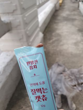 페페로니 잘 먹는 캣츄 - 원양선 참치 24개입 — 5점을 준 리뷰어가 2021년 8월 올린 사용 사진