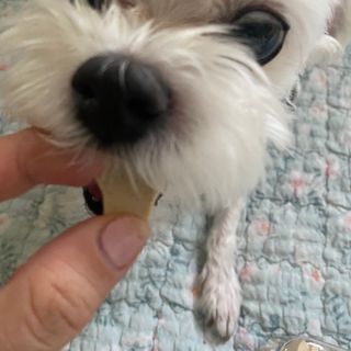 당근님이 올린 리뷰 사진 4