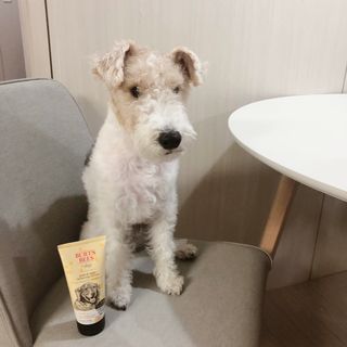 솜솜이2님이 올린 리뷰 사진 4