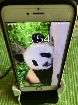 스카이킴님이 올린 리뷰 사진 2