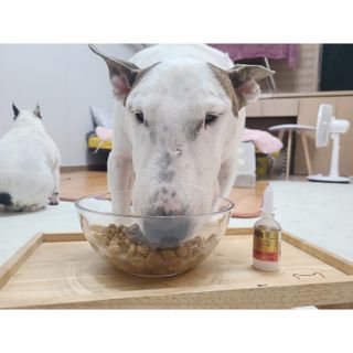 단발모리님이 올린 리뷰 사진 4