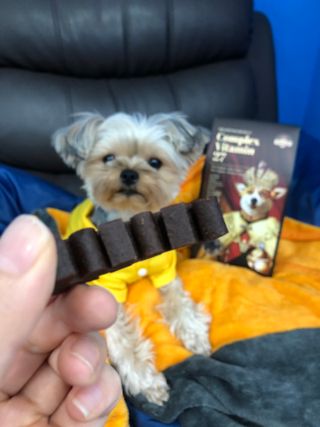 꿀님이 올린 리뷰 사진 3