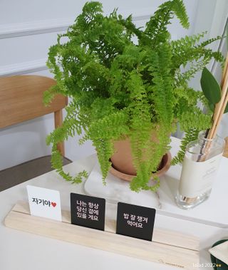 맘트리 우리집 메신저. 인테리어소품. 집들이선물 [마음을 전하는 우리집 메신저. 마우메] — 5점을 준 리뷰어가 2022년 12월 올린 사용 사진