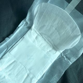 블루블루 유기농 순면 커버 생리대 — 4.5점을 준 리뷰어가 2021년 1월 올린 사용 사진