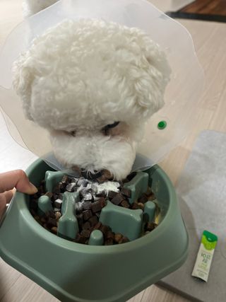 삐야기님이 올린 리뷰 사진 2