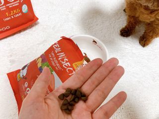 [푸디웜] 라포그  리얼인섹트 관절 저알러지 강아지 사료  1.2KG — 5점을 준 리뷰어가 2022년 8월 올린 사용 사진