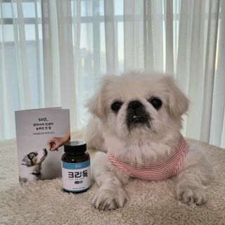 mini unni님이 올린 리뷰 사진 1