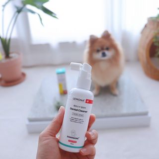 프리[경남제약 레모나x댕모어]  강아지 고양이 구취제거 충치 예방 덴탈클리너 120ml — 5점을 준 리뷰어가 2024년 7월 올린 사용 사진