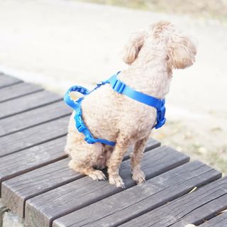 윤디캔디님이 올린 리뷰 사진 4