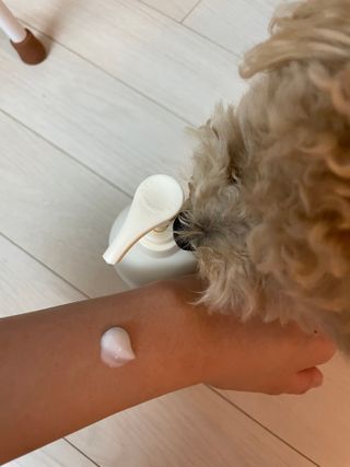 [위켄더스] 끈적임 없이 수분감을 채워주는 핸드& 바디로션 1종 랜덤발송 — 5점을 준 리뷰어가 2022년 5월 올린 사용 사진