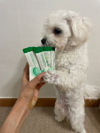 냥냥이님이 올린 리뷰 사진 3