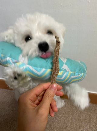 냥냥이님이 올린 리뷰 사진 2