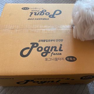 곽현정님이 올린 리뷰 사진 1