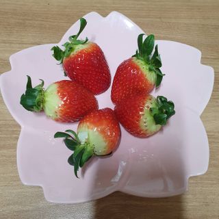 옳음 딸기 논산 설향 딸기 900g 산지직송 — 5점을 준 리뷰어가 2021년 1월 올린 사용 사진