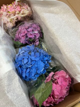 수리애누님이 올린 리뷰 사진 3