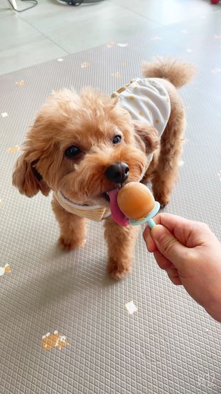 harumom님이 올린 리뷰 사진 2