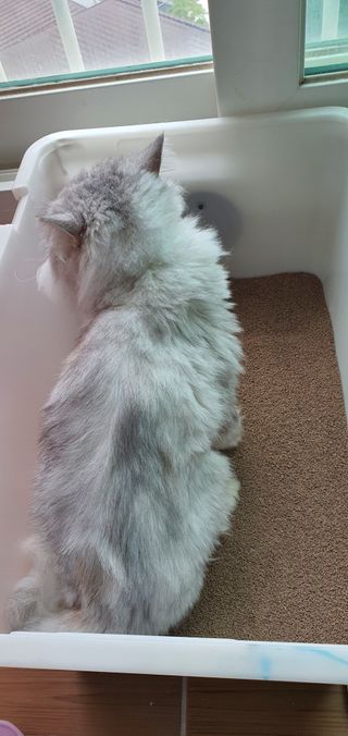 의연님이 올린 리뷰 사진 4
