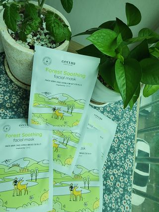 세뚜아(Cettua) [세뚜아] 포레스트 수딩 마스크 Cettual Forest  Soothing Mask 5매 — 5점을 준 리뷰어가 2024년 4월 올린 사용 사진