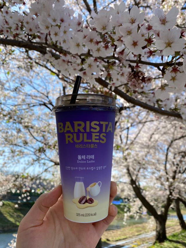 바리스타룰스 돌체 라떼 리뷰 사진