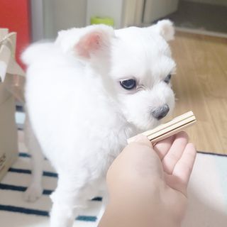 KimHyojin님이 올린 리뷰 사진 2