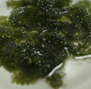 NaraKim님이 올린 리뷰 사진 3