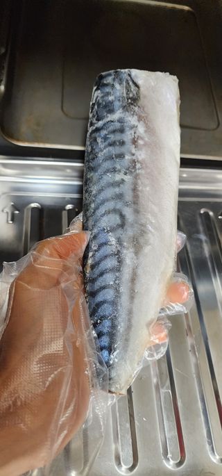 ㈜금호통상 노르웨이 고등어 900g (6~10편) — 5점을 준 리뷰어가 2023년 11월 올린 사용 사진