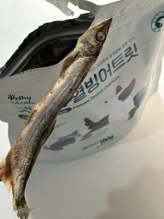 까눌렝님이 올린 리뷰 사진 3
