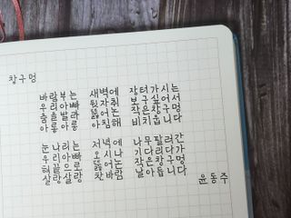 배솜솜님이 올린 리뷰 사진 1