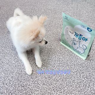 My Pet Care 천연단백질 눈건강에 개좋아 — 5점을 준 리뷰어가 2021년 3월 올린 사용 사진
