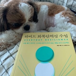 박코끼리님이 올린 리뷰 사진 3