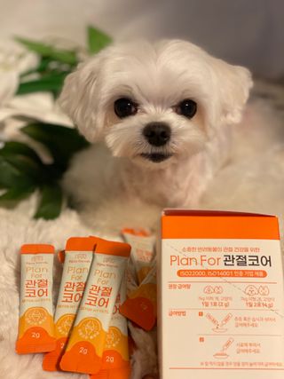 구니구니구니님이 올린 리뷰 사진 2