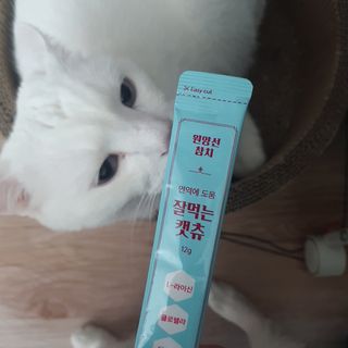 페페로니 잘 먹는 캣츄 - 원양선 참치 24개입 — 5점을 준 리뷰어가 2021년 8월 올린 사용 사진