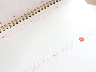 리훈 곰부 체크리스트+ 곰부 리무버블스티커 1장 — 4점을 준 리뷰어가 2021년 5월 올린 사용 사진