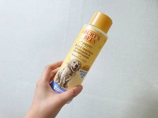 버츠비 퍼피투인원 티어리스 샴푸 앤 컨디셔너 — 4점을 준 리뷰어가 2021년 7월 올린 사용 사진