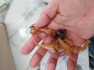 꾸꾸엄마님이 올린 리뷰 사진 2