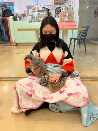 이츠미님이 올린 리뷰 사진 2