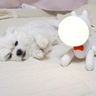 송린깡님이 올린 리뷰 사진 2