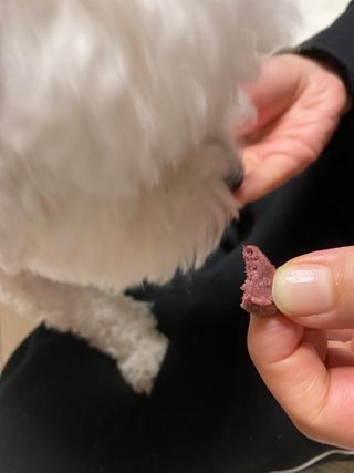 My Pet Care 천연단백질 눈건강에 개좋아 — 5점을 준 리뷰어가 2021년 1월 올린 사용 사진