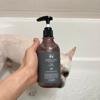 마리앤루이펫샴푸 [mari and louie pet shampoo] — 5점을 준 리뷰어가 2021년 5월 올린 사용 사진