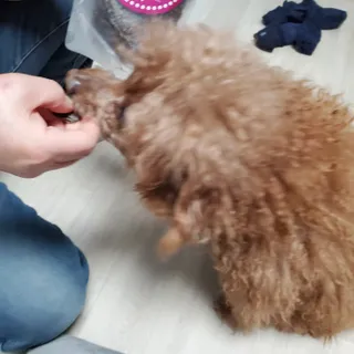 준맘님이 올린 리뷰 사진 2