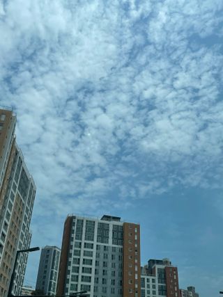 쿠로미조아님이 올린 리뷰 사진 1